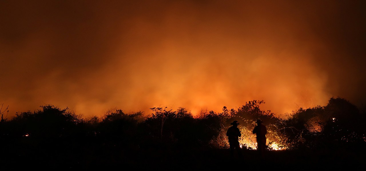 Incêndios atingem o Pantanal 26/08/2020