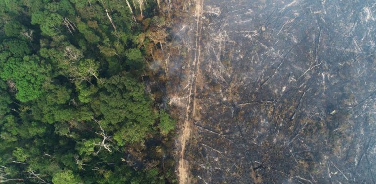 Amazônia e Cerrado foram os biomas que tiveram as maiores perdas entre 2000 e 2018, informou o IBGE