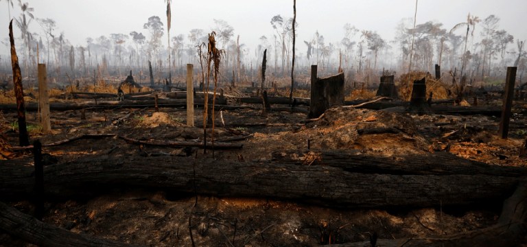 Queimadas na Amazônia