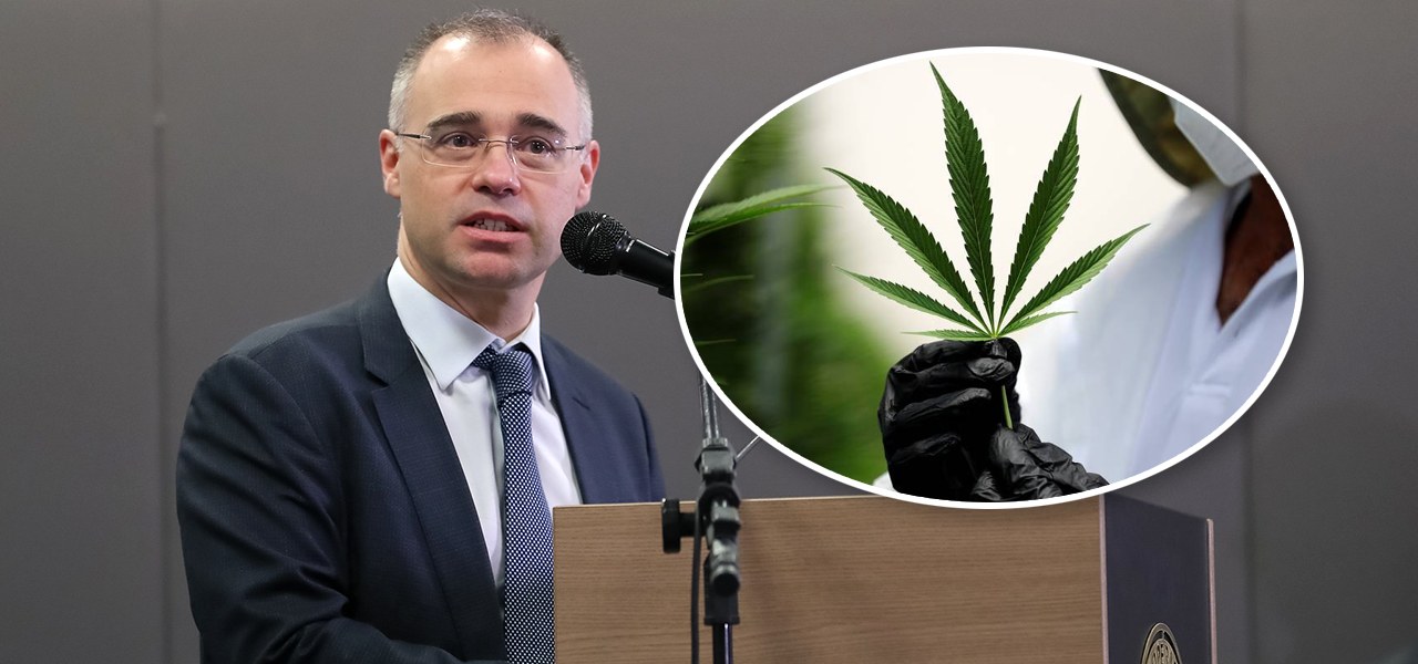 André Mendonça e folha de cannabis