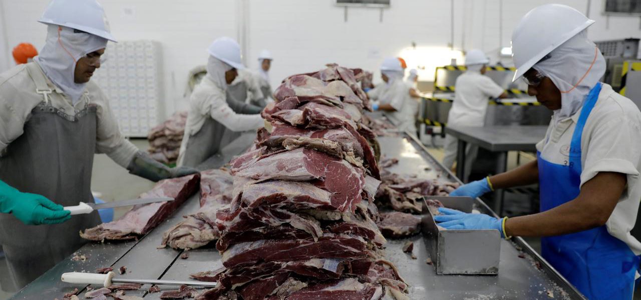 Processamento de carne bovina em frigorífico em Santana de Parnaíba (SP)