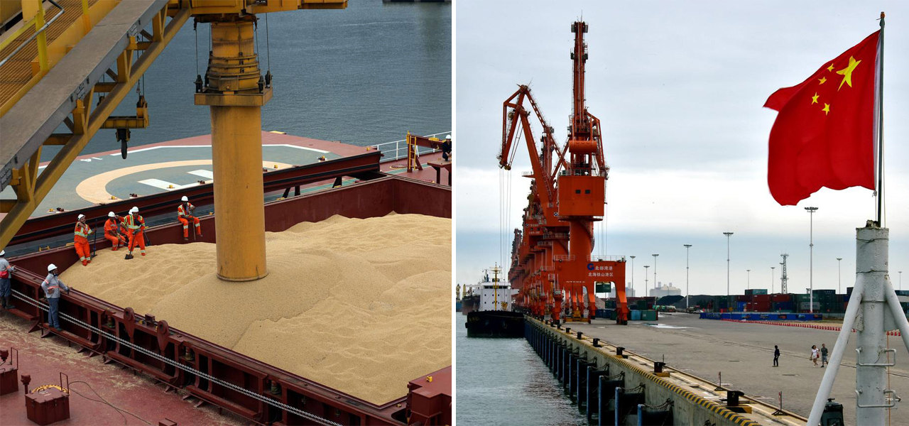 Maior importadora mundial de soja, a China está abrindo seu mercado para a Tanzânia em um esforço para reduzir sua dependência do Brasil e dos EUA