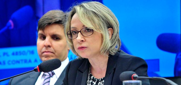 Delegada Érika Marena
