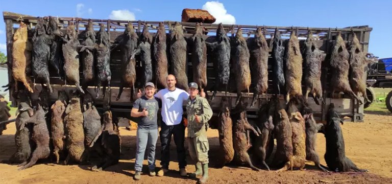 Eduardo Bolsonaro posa para foto com cadáveres de javalis caçados