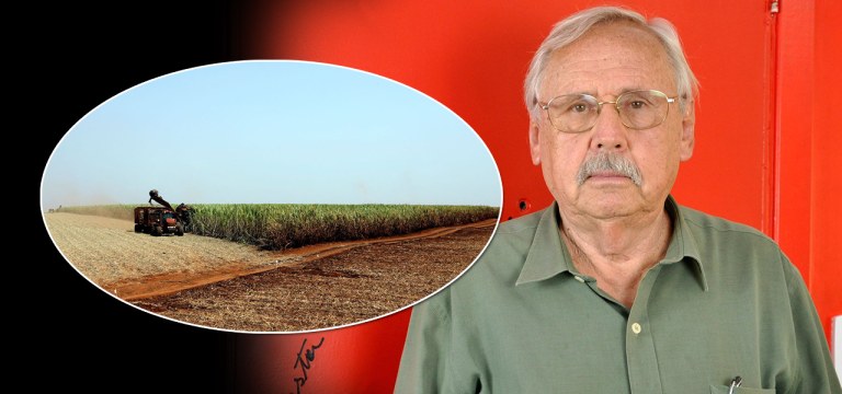 Ladislou Dowbor / agronegócio