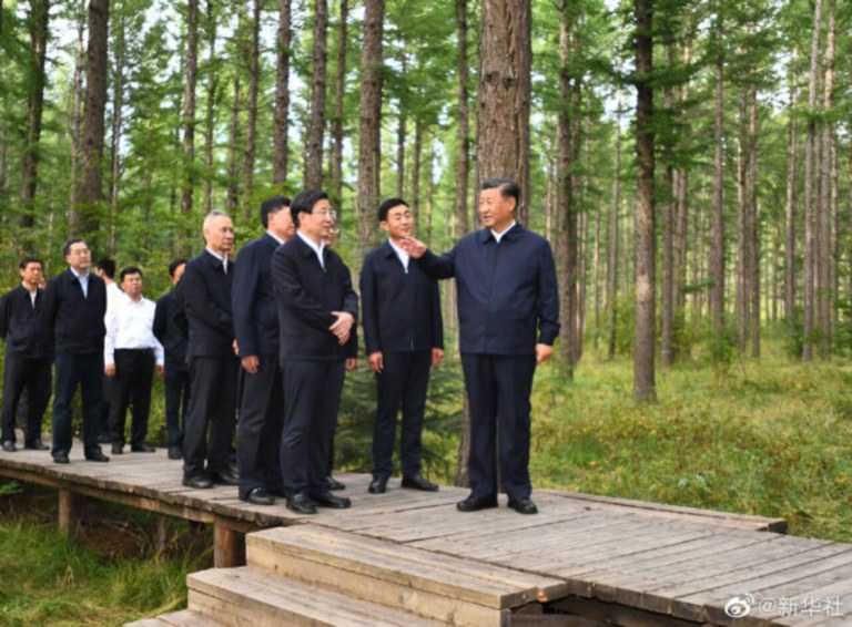 Xi Jinping em visita a região florestal