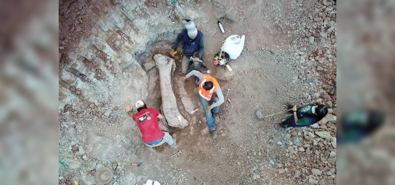 Imagem de drone mostra fóssil gigantesco de dinossauro achado em Davinópolis (MA)