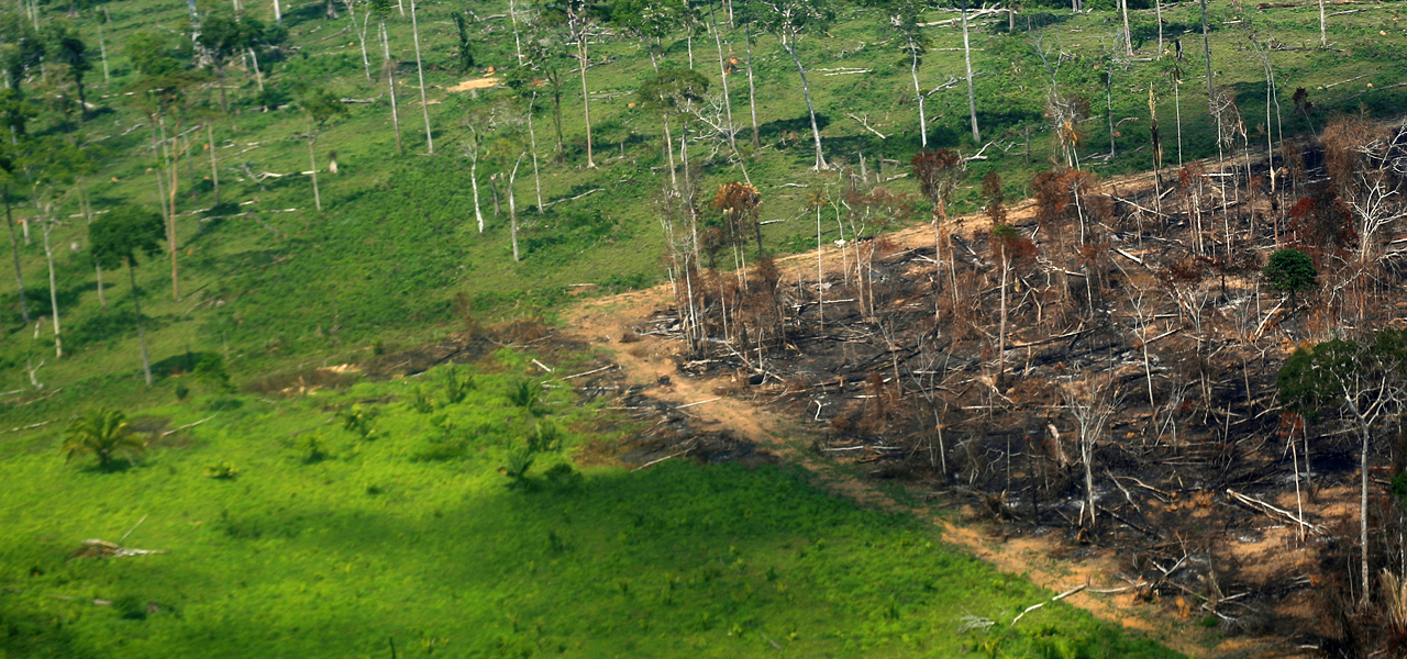 Vista aérea de área desmatada da Amazônia em Rondônia. 28/09/2021