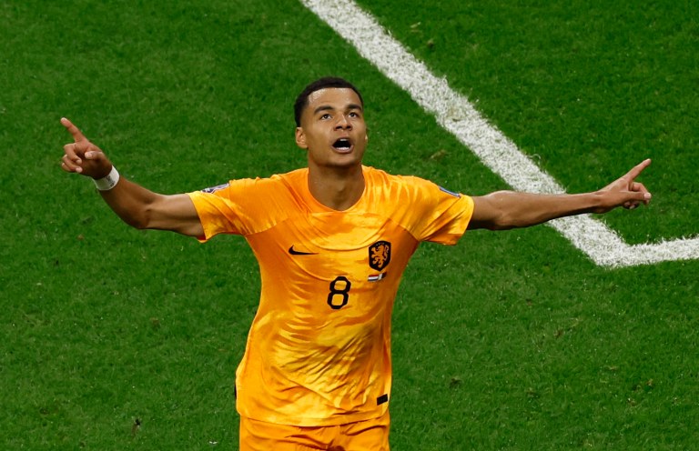 Cody Gakpo comemora gol em vitória da Holanda sobre o Catar