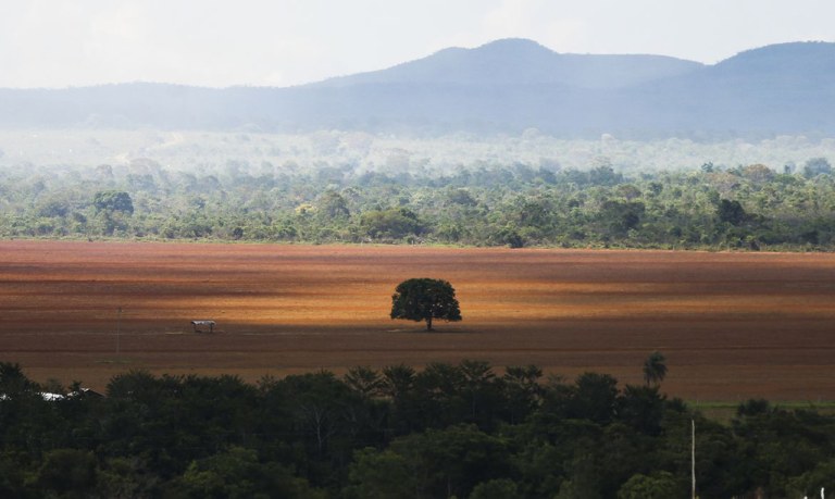 Área de cerrado desmatada para plantio no município de Alto Paraíso (GO)
