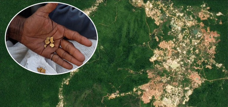 Garimpo ilegal de ouro na Amazônia