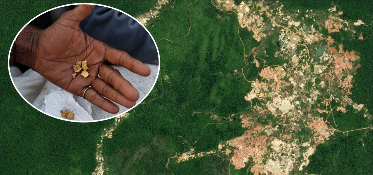 Garimpo ilegal de ouro na Amazônia