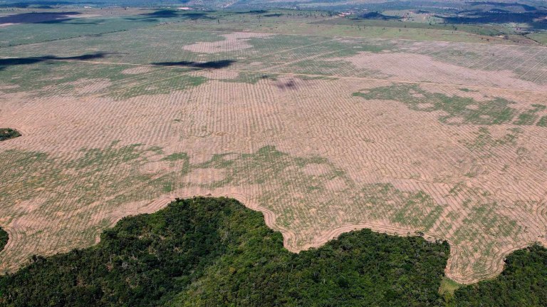 Desmatamento por madeireiros em reservas e terras indígenas no Maranhão