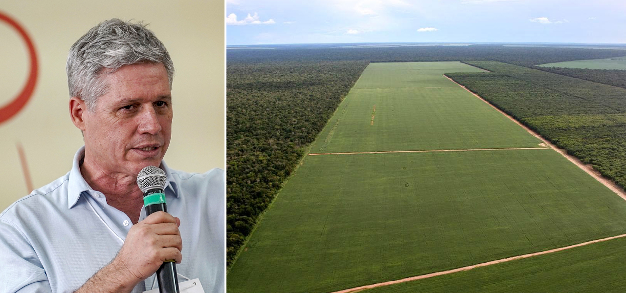 Paulo Teixeira: "Empresa brasileira não pode comprar terra na Alemanha ou na China"