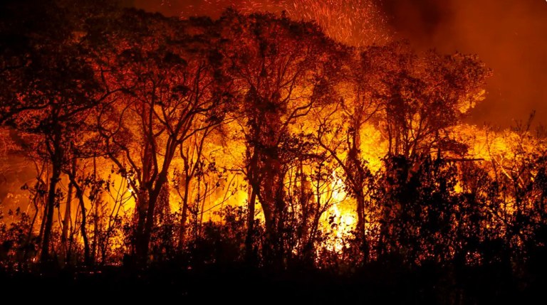 Incêndio no Pantanal