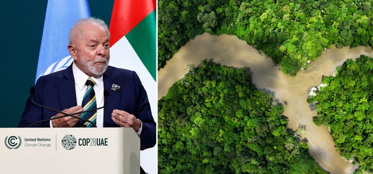 Lula e floresta amazônica