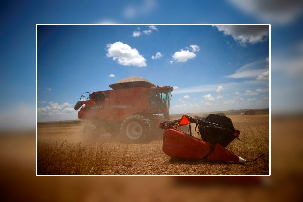 Campo de soja em Luziânia, no Estado de Goiás