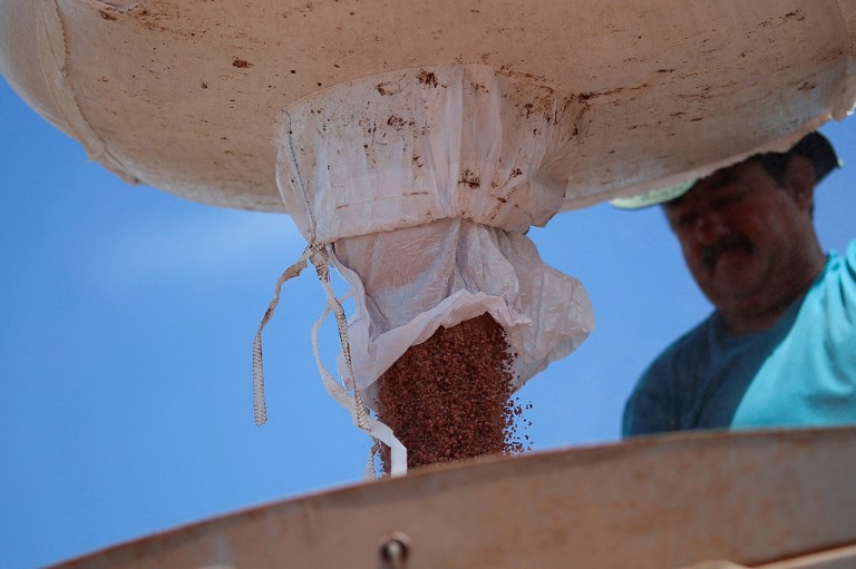 Trabalhador agrícola carrega trator com fertilizante, perto de Brasília (DF)