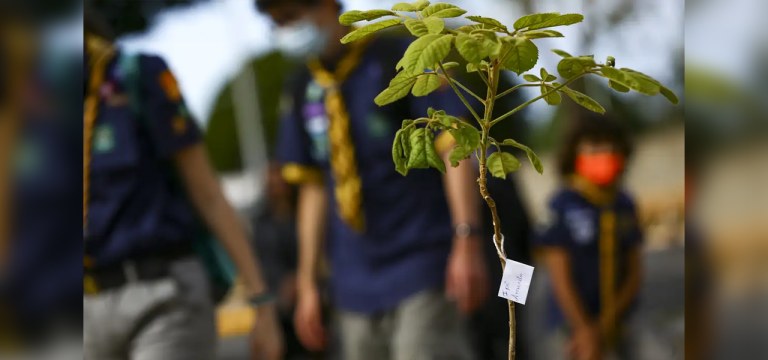 Sustentabilidade