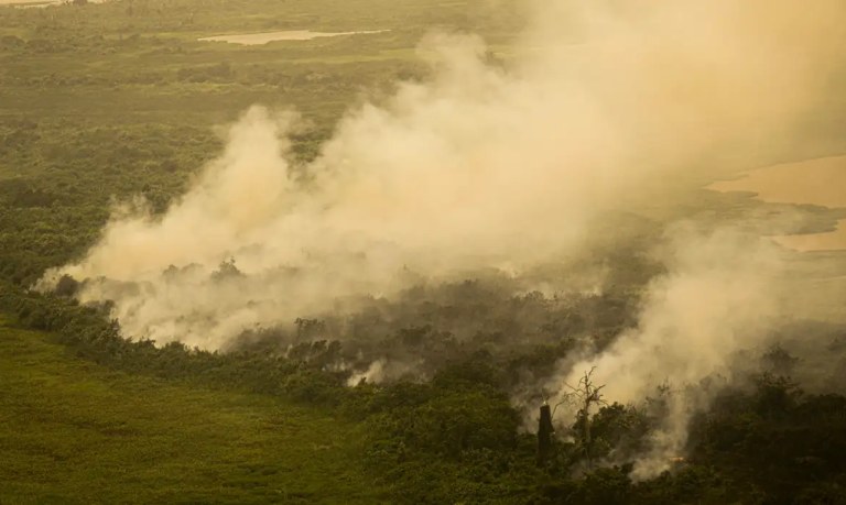 Incêndios no Pantanal já atingem mais de 600 mil hectares em 2024
