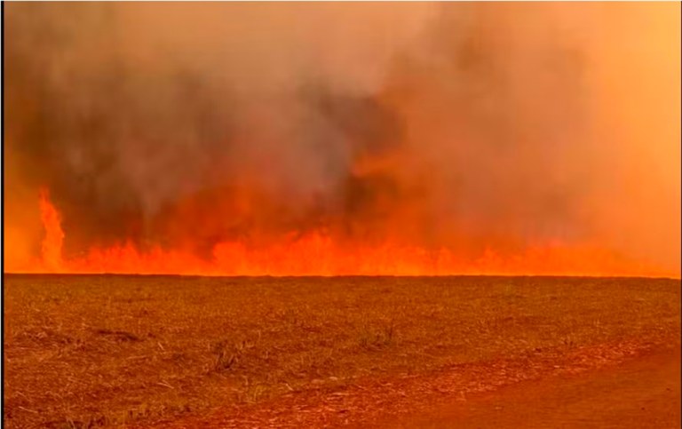 Incêndio no estado de São Paulo