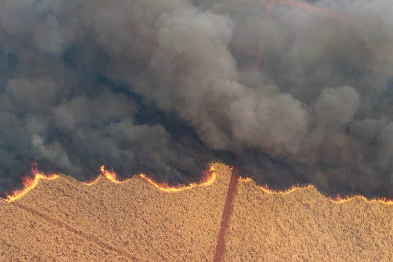 Incêndio em canavial de SP
24/08/2024
REUTERS/Joel Silva