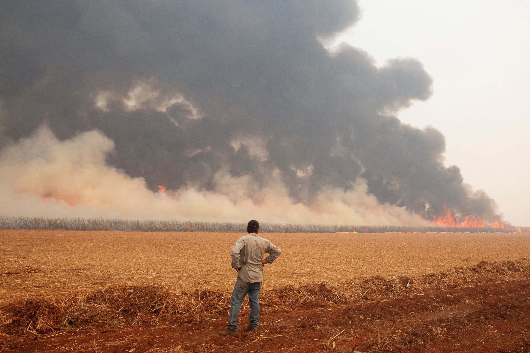 Incêndio destrói plantação de cana-de-açúcar em Dumon (SP)