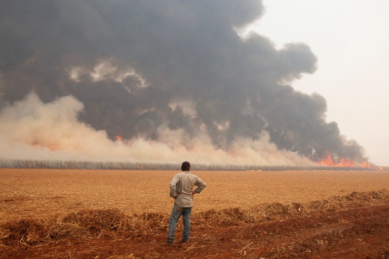 Incêndio destrói plantação de cana-de-açúcar em Dumon (SP)