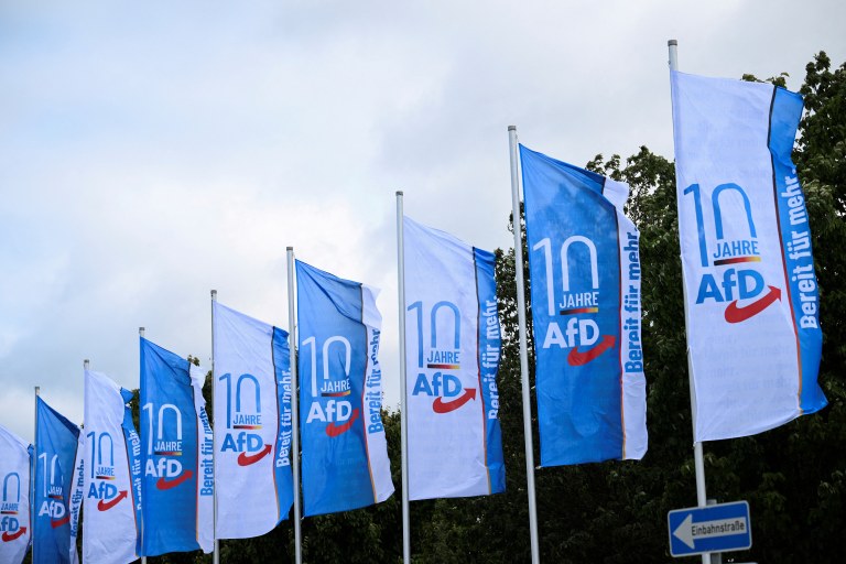 AfD, extrema direita alemã