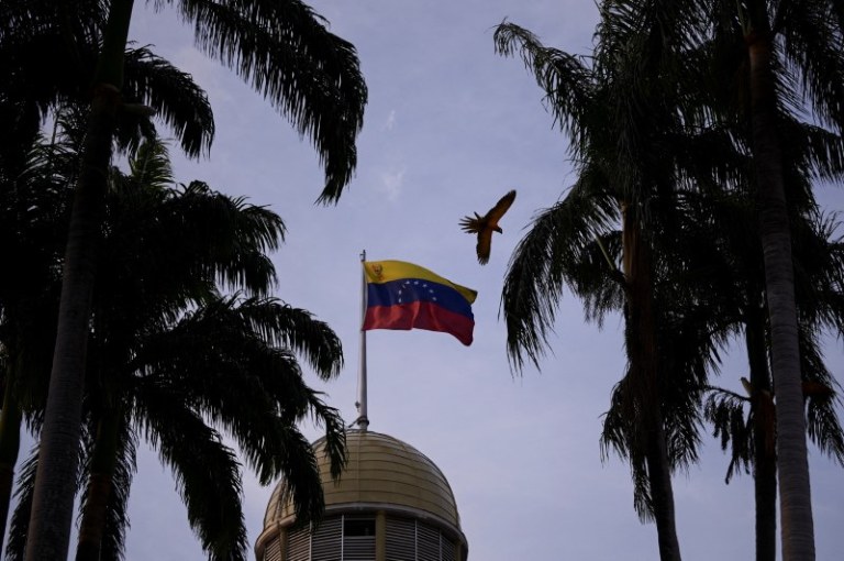 Uma arara voa perto de bandeira venezuelana no Palácio Federal Legislativo, em Caracas, Venezuela 
16/04/2024