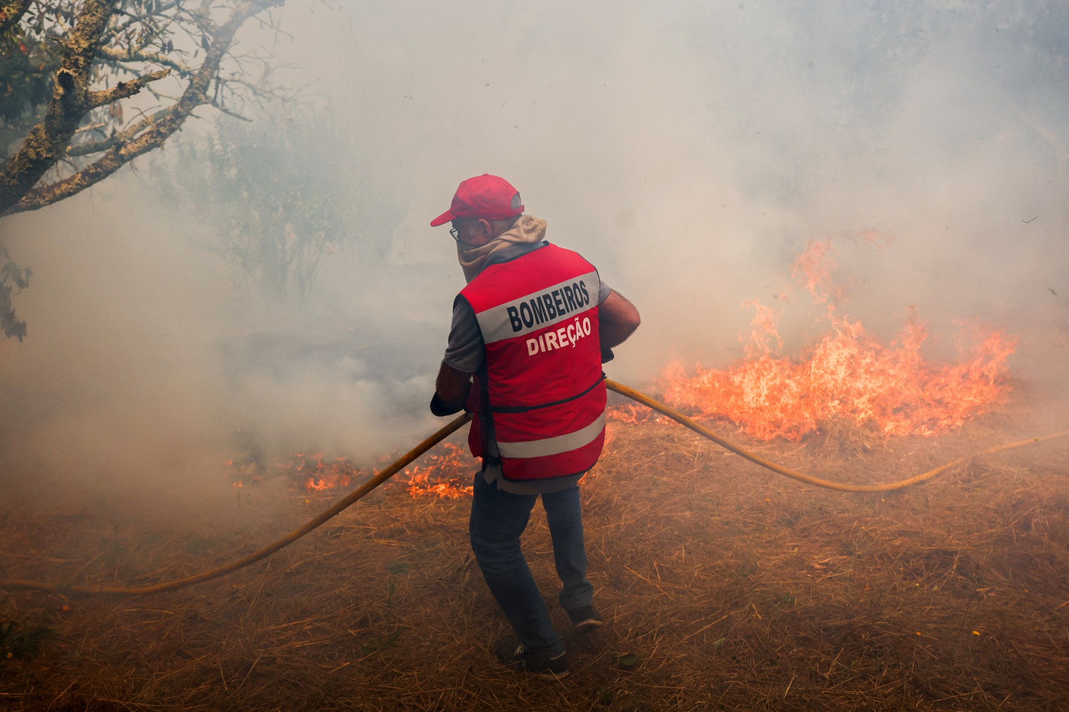 Bombeiros combatem incêndio em Penalva do Castelo, em Portugal
16/09/2024