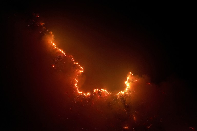 Incêndio na floresta amazônica
08/08/2024