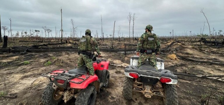 Agentes da Polícia Federal analisam resultado de incêndio florestal