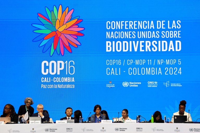Cop16 na Colômbia