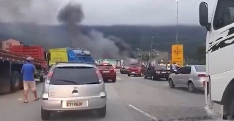 Torcedores do Cruzeiro e do Palmeiras