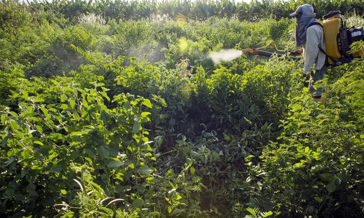 Agente colocando agrotóxico em vegetação no Brasil