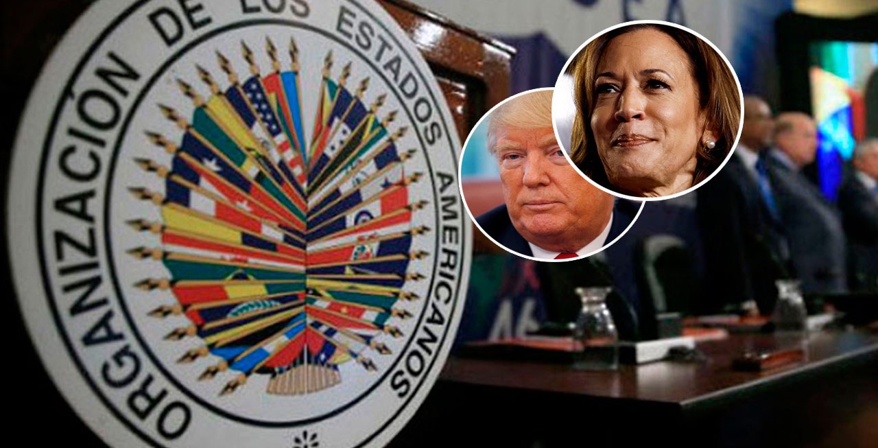 OEA, Donald Trump e Kamala Harris
