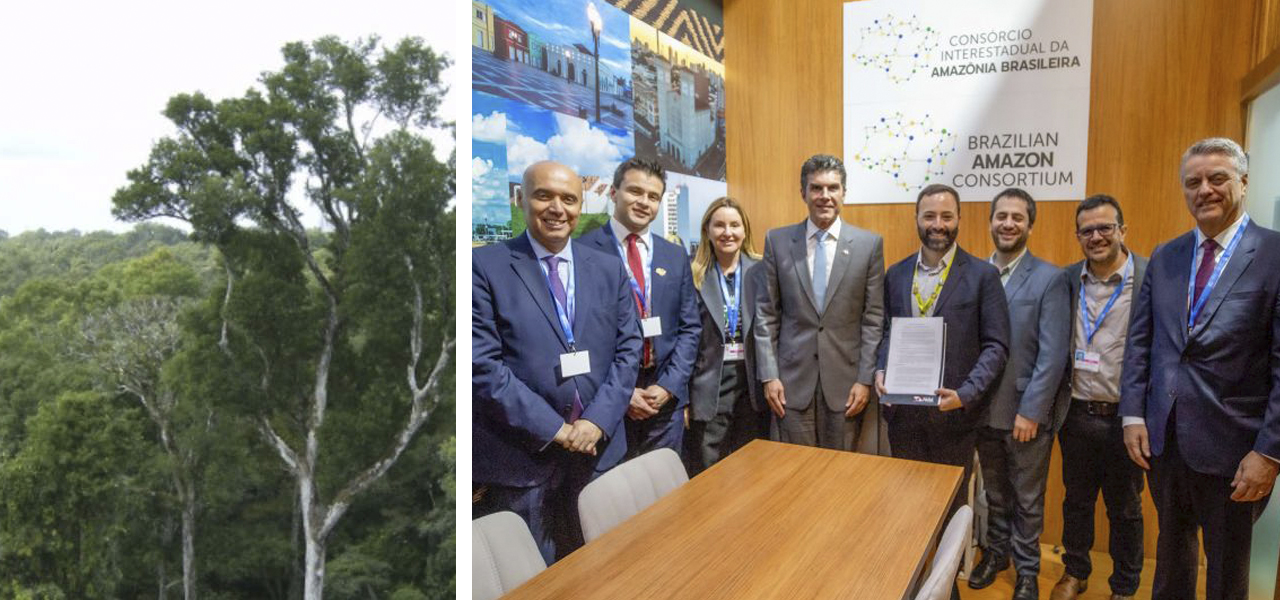 Vegetação e lideranças do governo do Pará