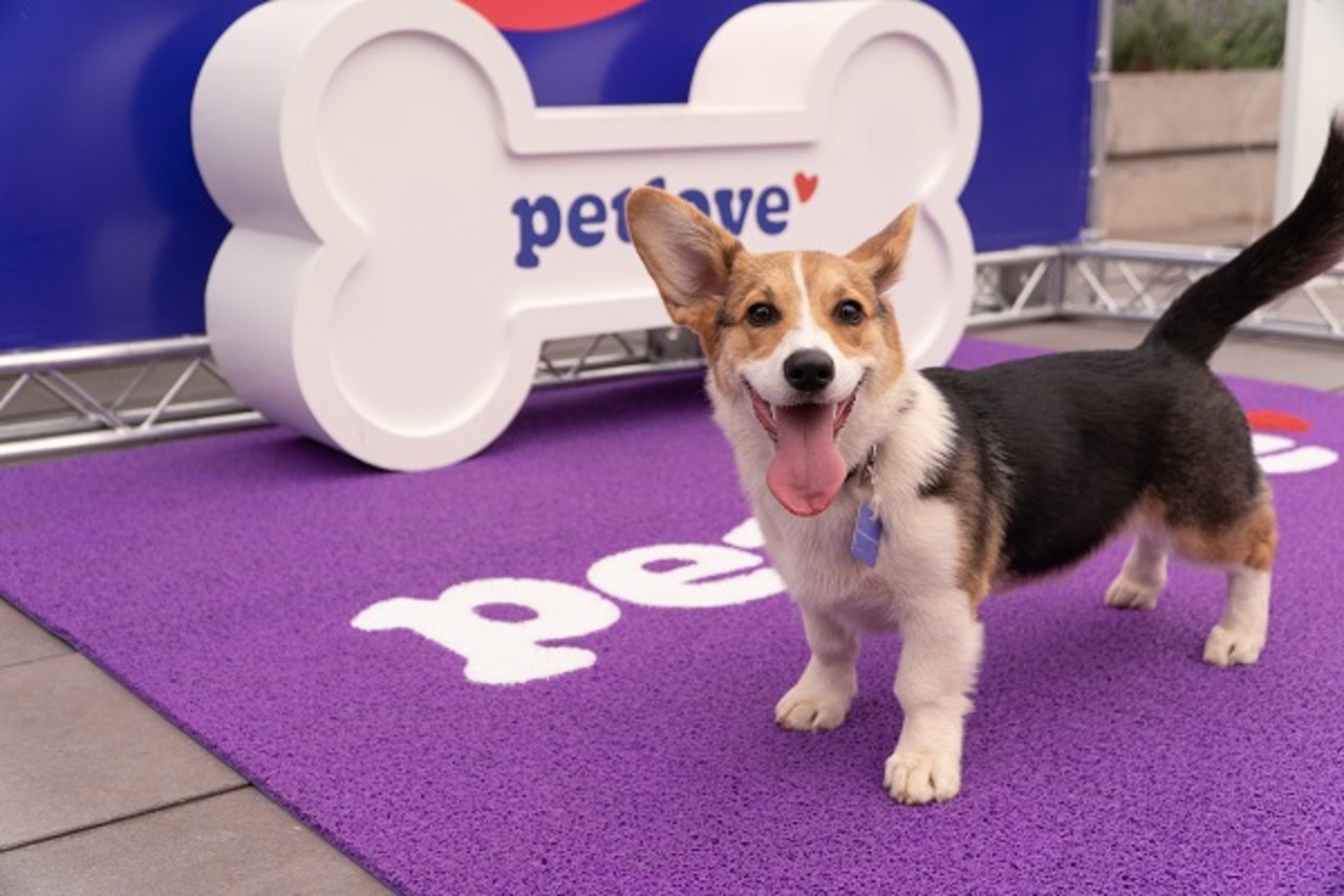 Petlove conecta 1,7 milhão de tutores a produtos e serviços animais de estimação
