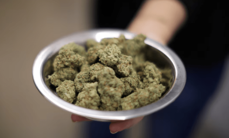 Cannabis