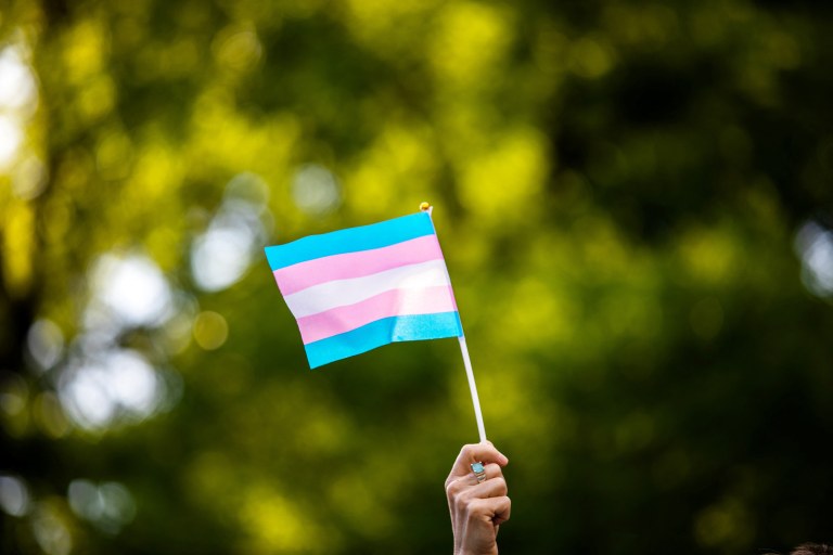 Bandeira representativa da comunidade trans em Nova York, EUA