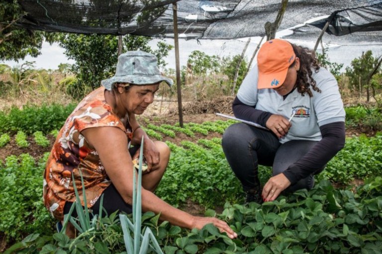 Portaria reflete o aumento de grupos organizados de mulheres no comando de empreendimentos agrícolas