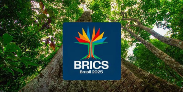 Logomarca da Cúpula do BRICS 2025, Brasil