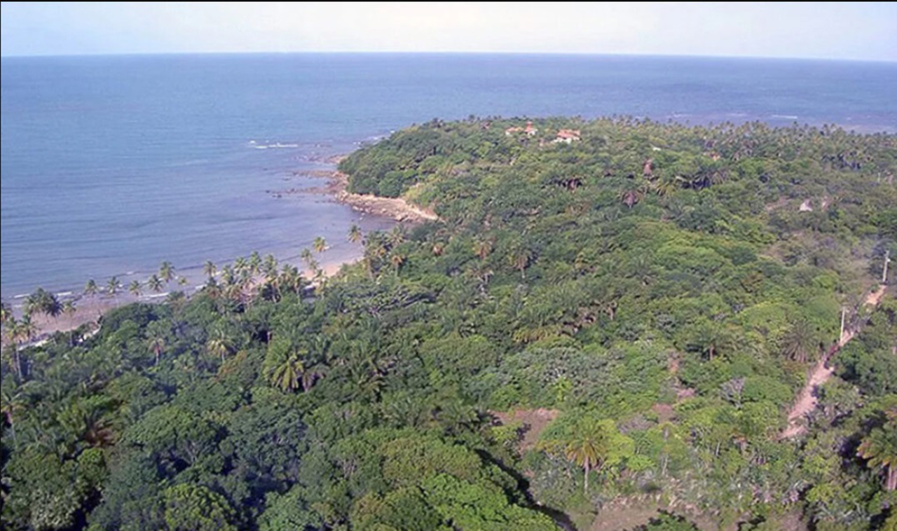 Mata Atlântica