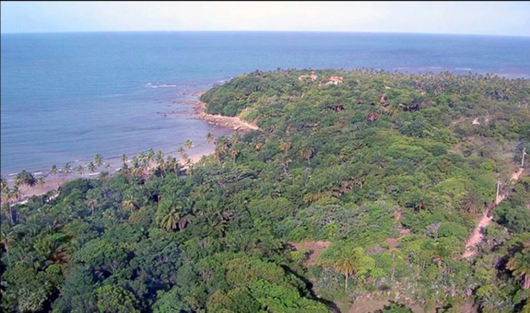Mata Atlântica