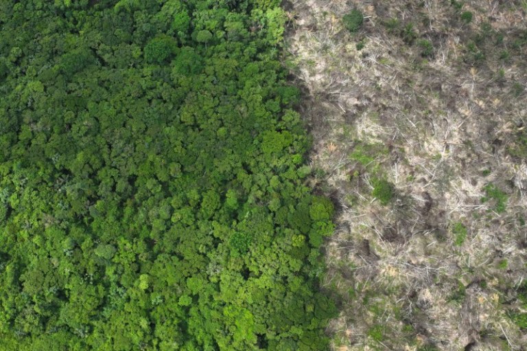 Área desmatada da Floresta Amazônica, no Brasil
21/01/2023