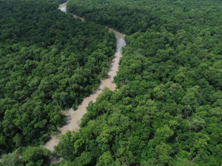 Vista de um braço do Rio Caeté em área de manguezal na Reserva Extrativista Marinha de Caeté-Taperaçu monitorada pelo projeto Mangues da Amazônia. 