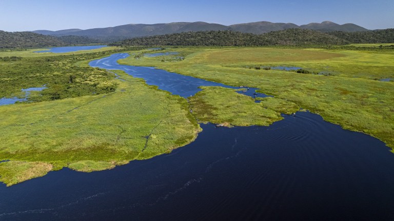Áreas de preservação do Pantanal, em Mato Grosso do Sul.