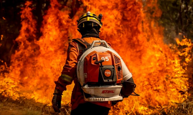 Ações de combate a incêndios e queimadas no Cerrado e no Pantanal poderão ter recursos do Fundo Amazônia