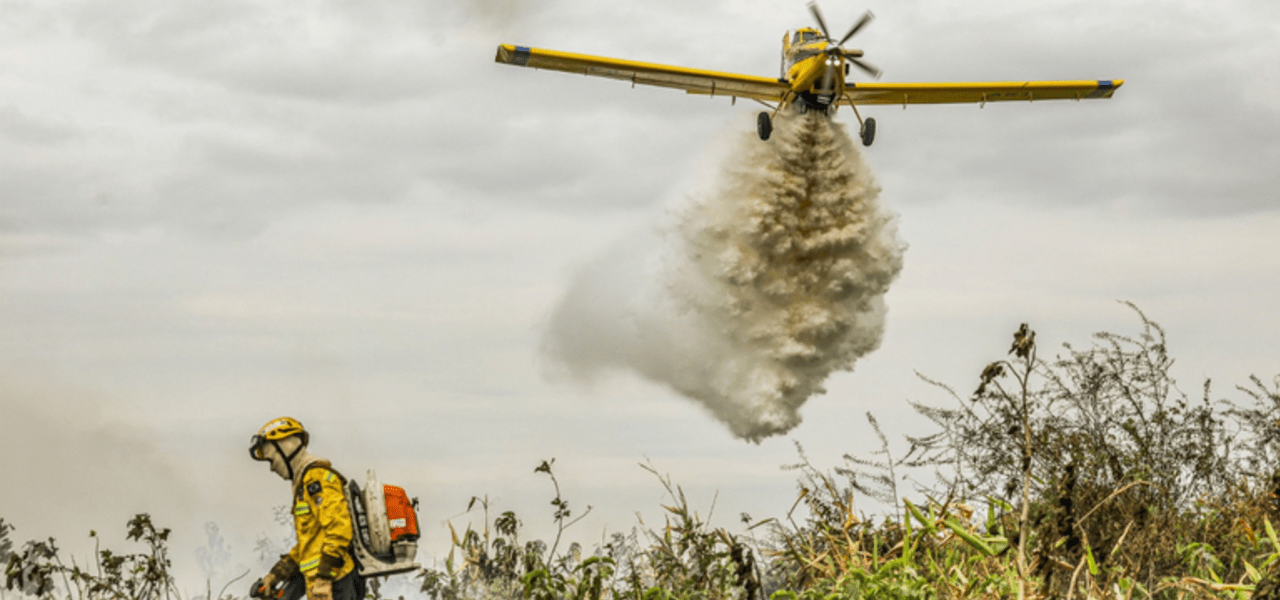 Brigadistas combatem incêndios florestais